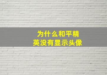 为什么和平精英没有显示头像