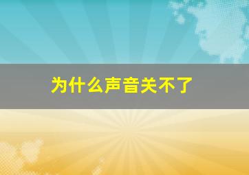 为什么声音关不了