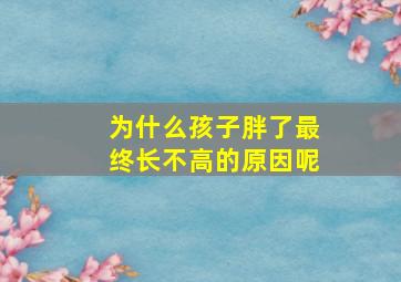 为什么孩子胖了最终长不高的原因呢