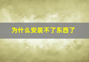 为什么安装不了东西了