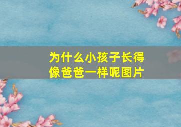 为什么小孩子长得像爸爸一样呢图片