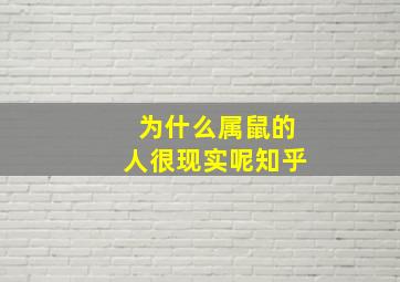 为什么属鼠的人很现实呢知乎