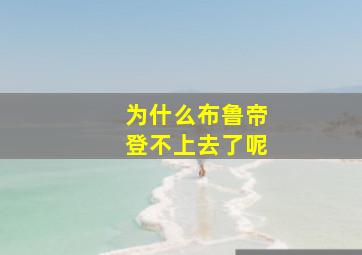 为什么布鲁帝登不上去了呢