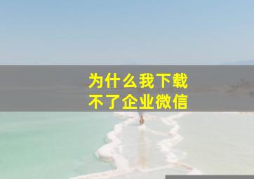 为什么我下载不了企业微信