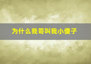 为什么我哥叫我小傻子