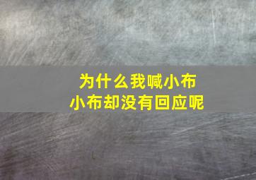 为什么我喊小布小布却没有回应呢