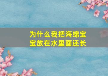 为什么我把海绵宝宝放在水里面还长