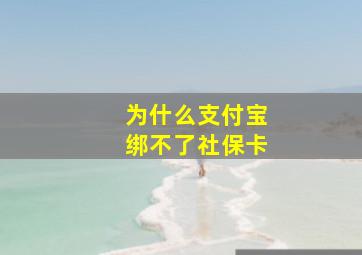 为什么支付宝绑不了社保卡