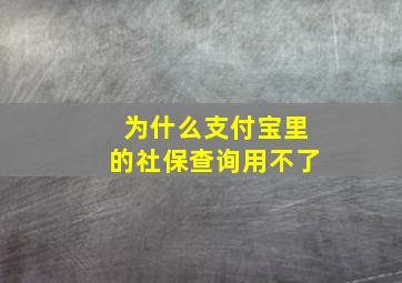 为什么支付宝里的社保查询用不了