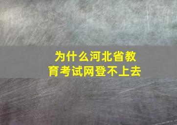 为什么河北省教育考试网登不上去