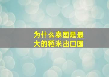 为什么泰国是最大的稻米出口国