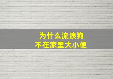 为什么流浪狗不在家里大小便