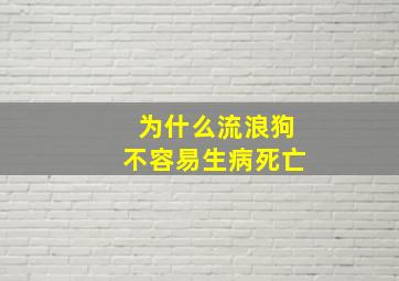 为什么流浪狗不容易生病死亡