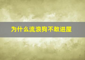 为什么流浪狗不敢进屋