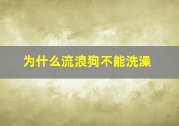 为什么流浪狗不能洗澡