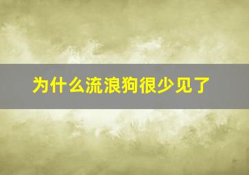 为什么流浪狗很少见了