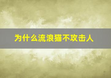 为什么流浪猫不攻击人