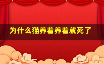 为什么猫养着养着就死了