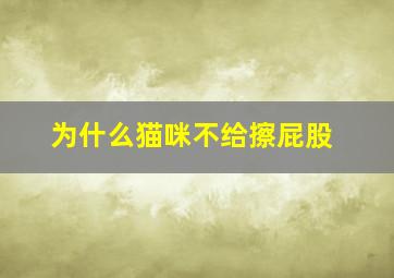 为什么猫咪不给擦屁股