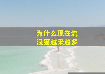 为什么现在流浪猫越来越多