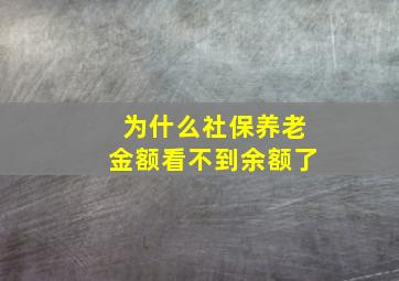 为什么社保养老金额看不到余额了