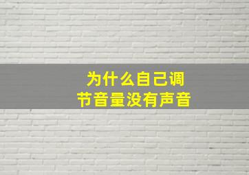 为什么自己调节音量没有声音