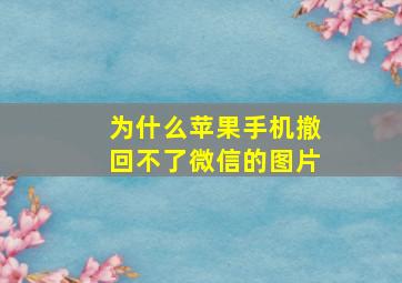 为什么苹果手机撤回不了微信的图片