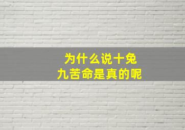 为什么说十兔九苦命是真的呢