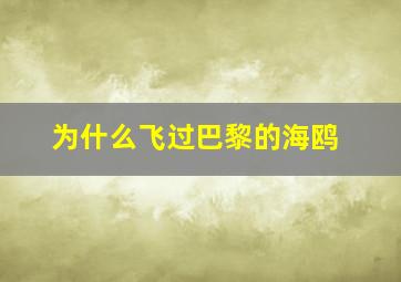 为什么飞过巴黎的海鸥