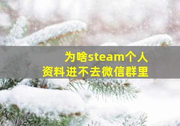 为啥steam个人资料进不去微信群里