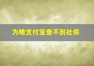 为啥支付宝查不到社保