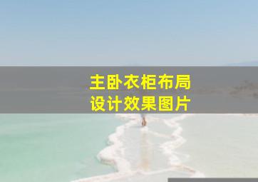 主卧衣柜布局设计效果图片