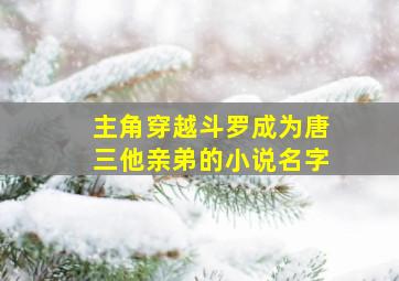 主角穿越斗罗成为唐三他亲弟的小说名字