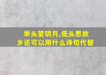 举头望明月,低头思故乡还可以用什么诗句代替