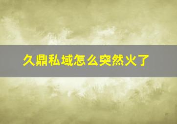 久鼎私域怎么突然火了