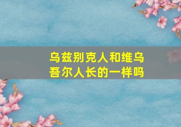 乌兹别克人和维乌吾尔人长的一样吗