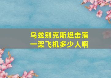 乌兹别克斯坦击落一架飞机多少人啊