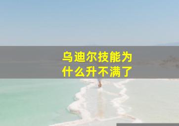 乌迪尔技能为什么升不满了