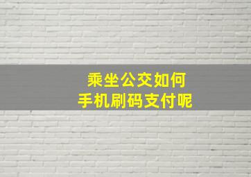 乘坐公交如何手机刷码支付呢