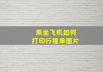 乘坐飞机如何打印行程单图片