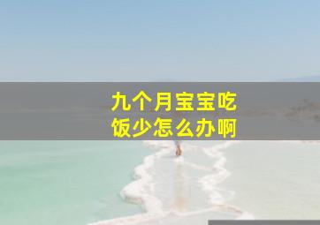 九个月宝宝吃饭少怎么办啊