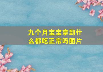 九个月宝宝拿到什么都吃正常吗图片