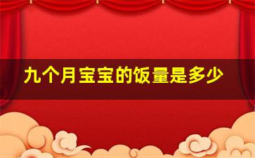 九个月宝宝的饭量是多少