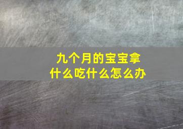 九个月的宝宝拿什么吃什么怎么办