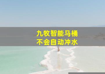 九牧智能马桶不会自动冲水