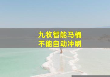 九牧智能马桶不能自动冲刷