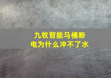 九牧智能马桶断电为什么冲不了水