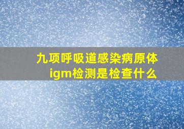 九项呼吸道感染病原体igm检测是检查什么