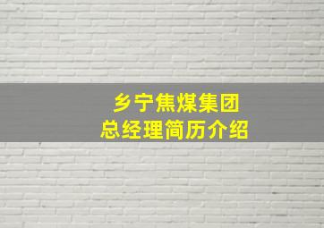 乡宁焦煤集团总经理简历介绍