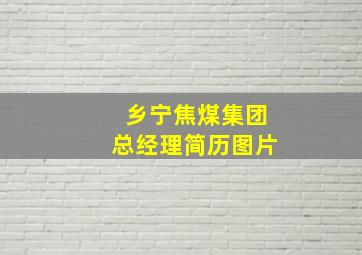 乡宁焦煤集团总经理简历图片